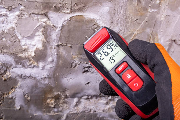 Best Mold Removal Company Near Me  in Dooms, VA