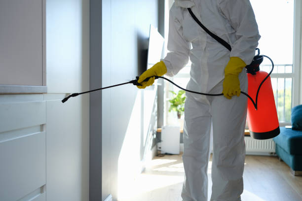 Best Toxic Mold Removal  in Dooms, VA