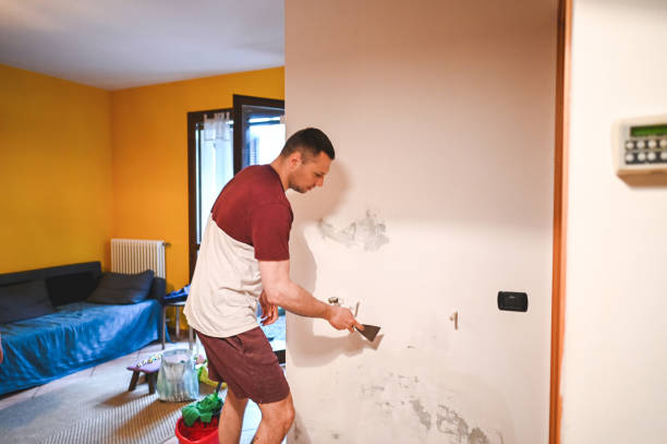 Best Local Mold Removal Service  in Dooms, VA